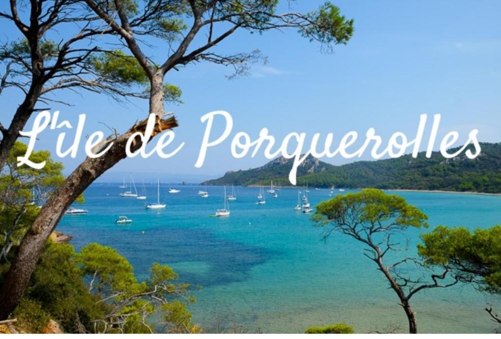 Le Terra-Cota 3 Ch Privees 10' Gare-Port Et Plage, Wfi, Cosy Toulon Eksteriør bilde